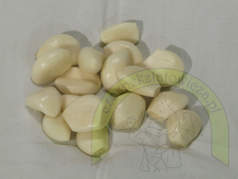 CZOSNEK OBIERANY 500G CZOSNEK OBIERANY 500G