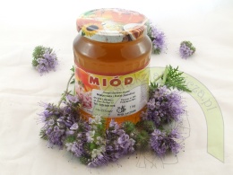 Miód Faceliowy 1 kg zbór 2025