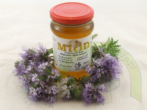 Miód Faceliowy 400 gram zbór 2025 Miód Faceliowy 400 gram zbór 2025