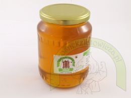 Miód Lipowy 1 kg zbór 2025