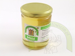 Miód Akacjowy 500 gram zbór 2025